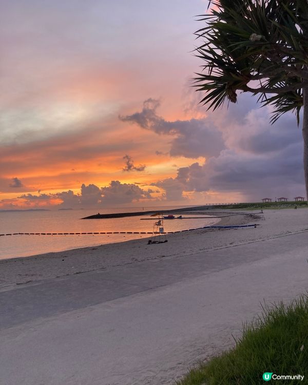 一家大細沖繩🏖️豐崎海灘玩到癲！🌊☀️ #沖繩 #豐崎海灘