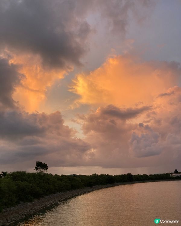 一家大細沖繩🏖️豐崎海灘玩到癲！🌊☀️ #沖繩 #豐崎海灘