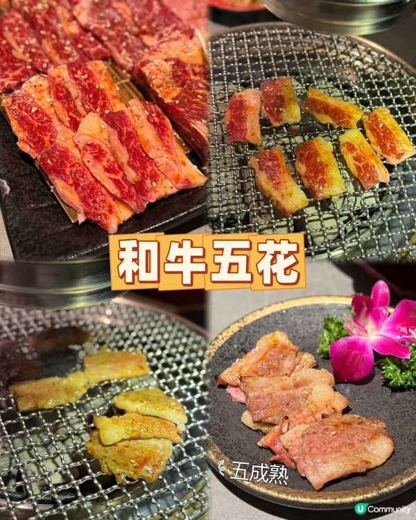 深圳和牛盛宴！人均$150+ 🤤 留言攞優惠！