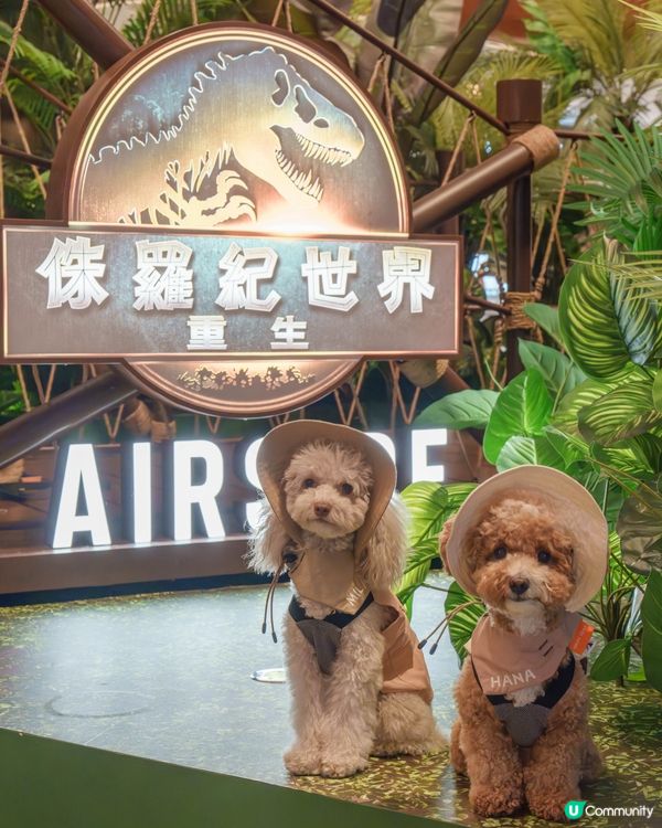 🔎侏羅紀世界探險記🦖