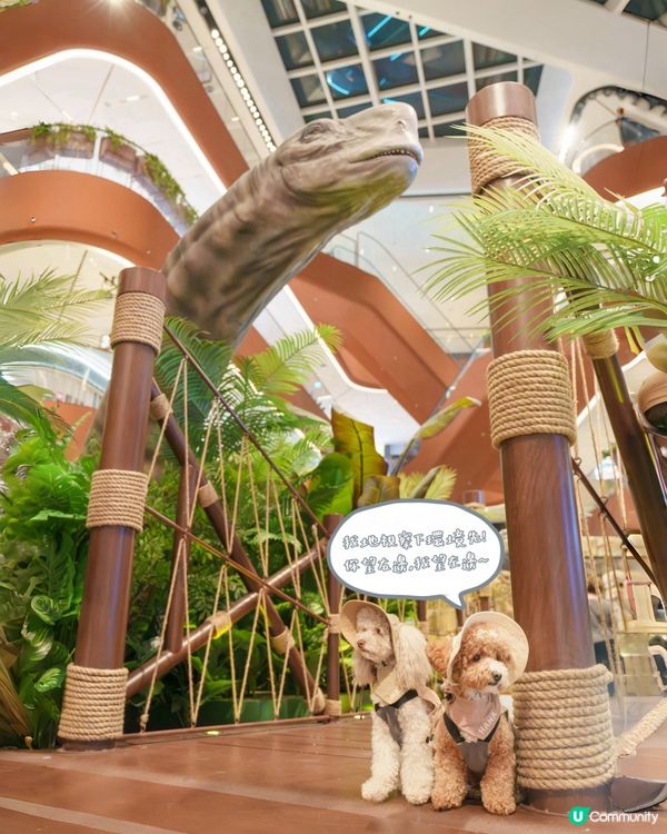 🔎侏羅紀世界探險記🦖