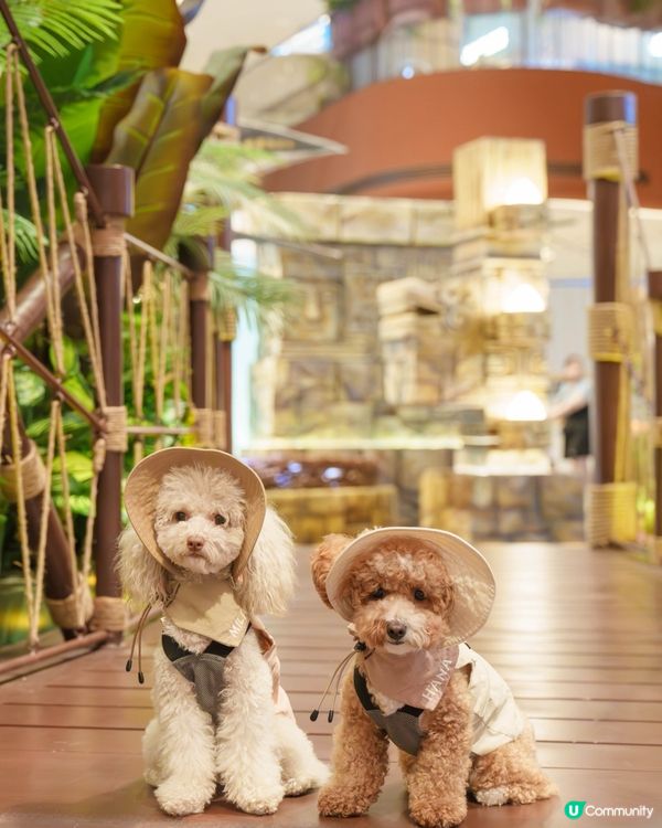 🔎侏羅紀世界探險記🦖