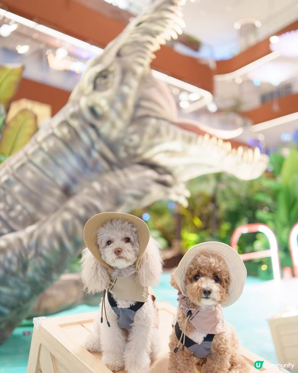 🔎侏羅紀世界探險記🦖