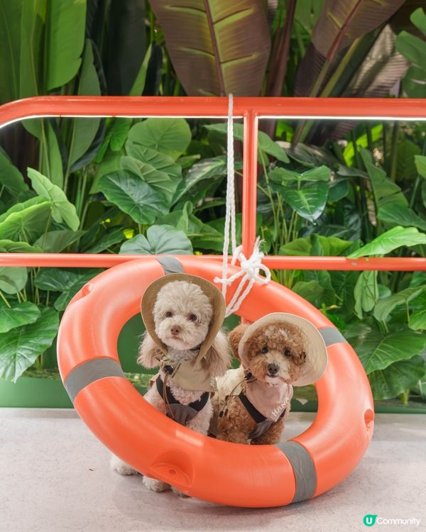 🔎侏羅紀世界探險記🦖