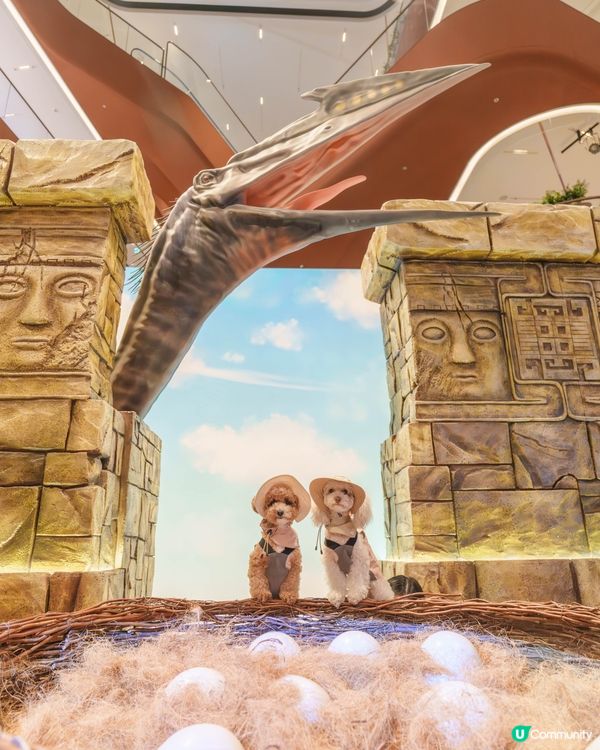 🔎侏羅紀世界探險記🦖