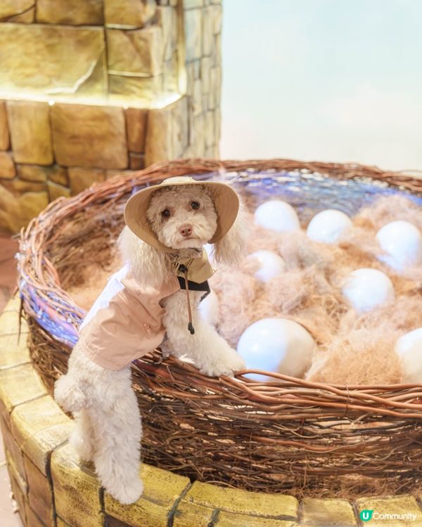 🔎侏羅紀世界探險記🦖