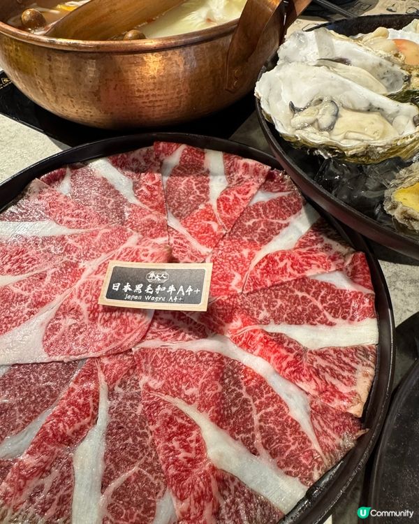 椰樂祭開鑼！木瓜雞鍋正到爆🤤