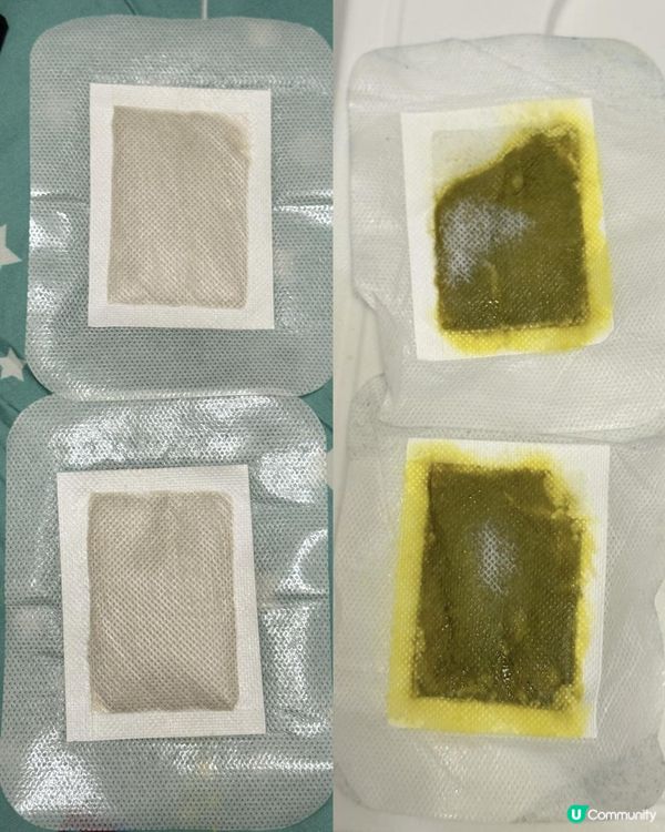 💚 森源天然養生好物 💚