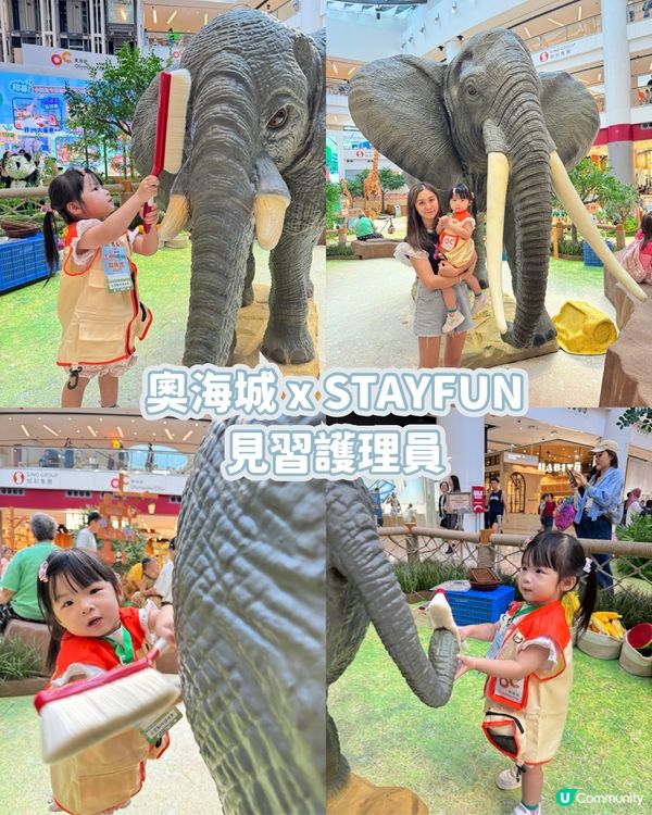 暑假好去處帶小朋友體驗｢見習動物護理員｣