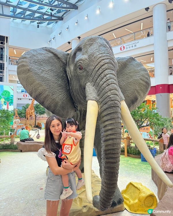 暑假好去處帶小朋友體驗｢見習動物護理員｣