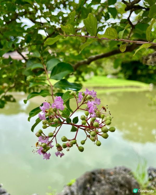 1.  那霸玩樂攻略！🏯 必去首里城、國際通！🛍️🌊