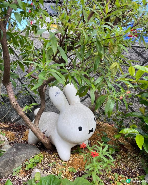 1.  那霸玩樂攻略！🏯 必去首里城、國際通！🛍️🌊