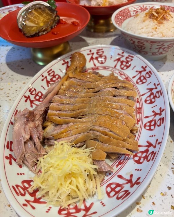 阿城鵝肉登港！🤤 台灣米芝蓮滋味！