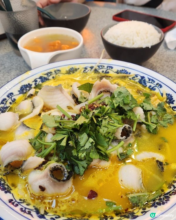 出色酸菜魚 😋😋