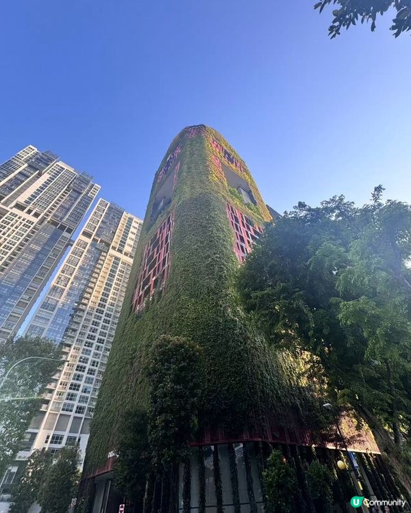 新加坡自由行攻略！玩轉4日3夜🇸🇬