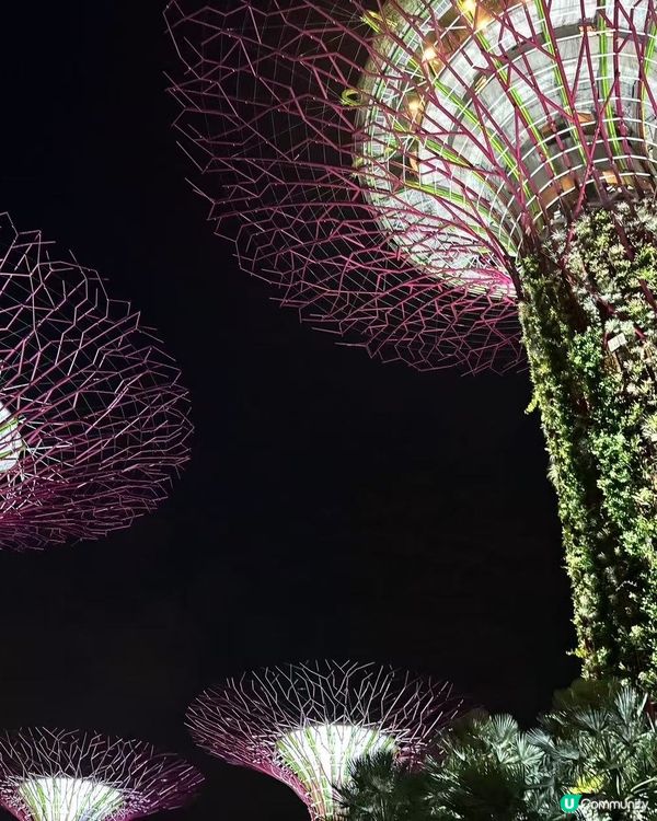 新加坡自由行攻略！玩轉4日3夜🇸🇬