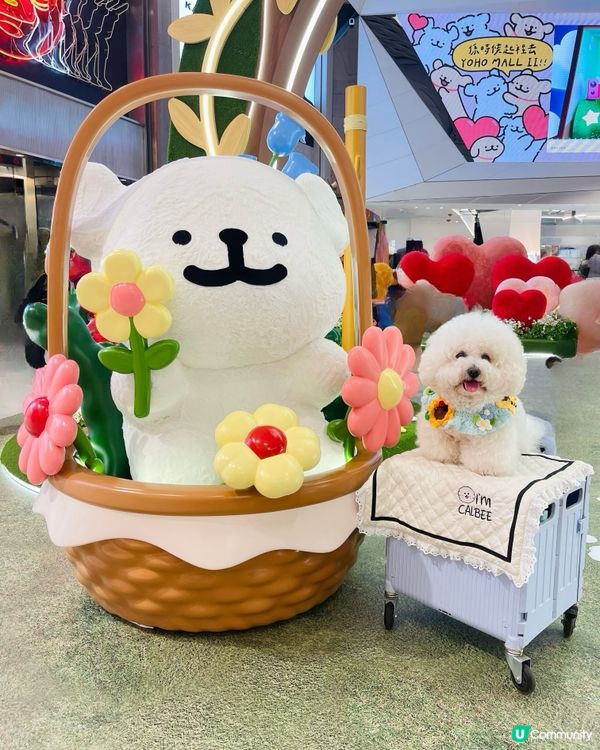 💛YOHO「線條小狗夏日心友會」！