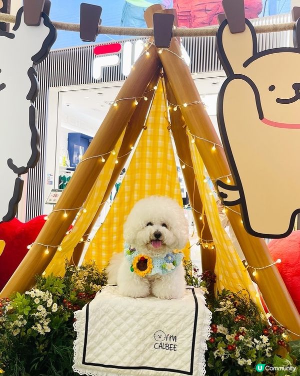 💛YOHO「線條小狗夏日心友會」！