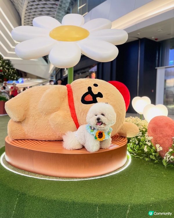 💛YOHO「線條小狗夏日心友會」！