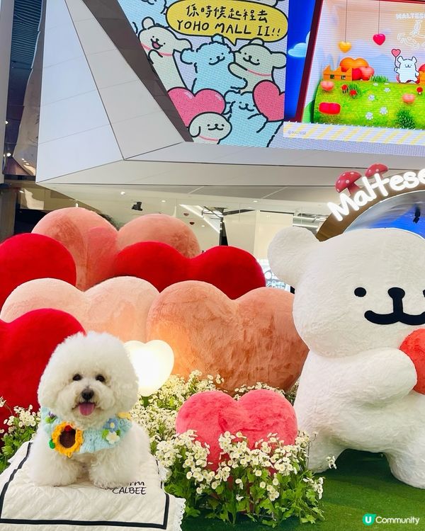 💛YOHO「線條小狗夏日心友會」！