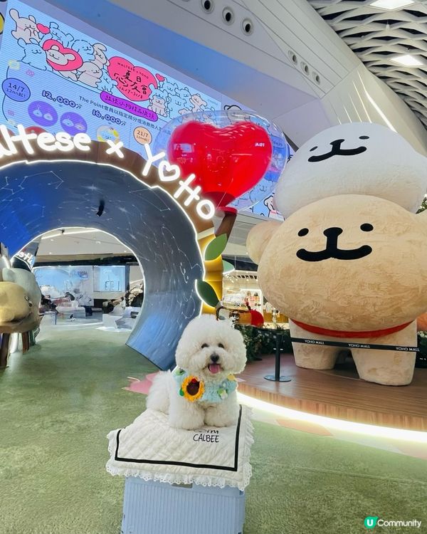 💛YOHO「線條小狗夏日心友會」！