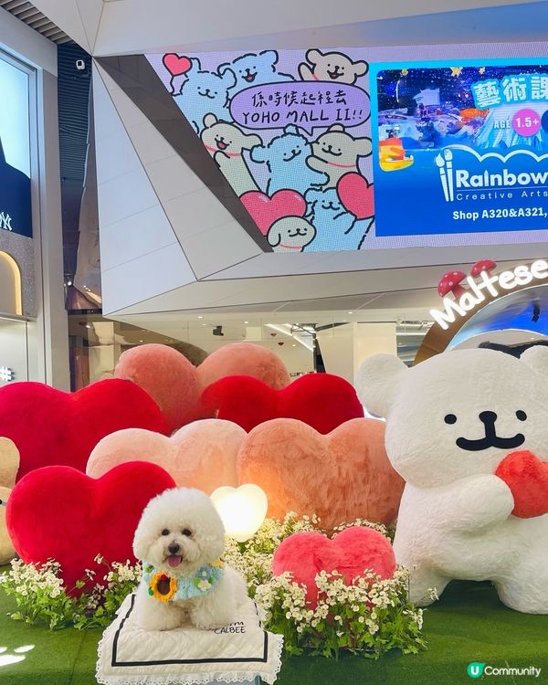 💛YOHO「線條小狗夏日心友會」！