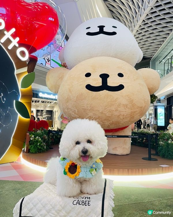 💛YOHO「線條小狗夏日心友會」！