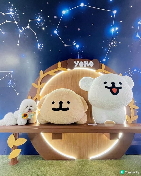 💛YOHO「線條小狗夏日心友會」！