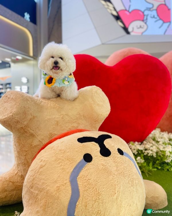 💛YOHO「線條小狗夏日心友會」！