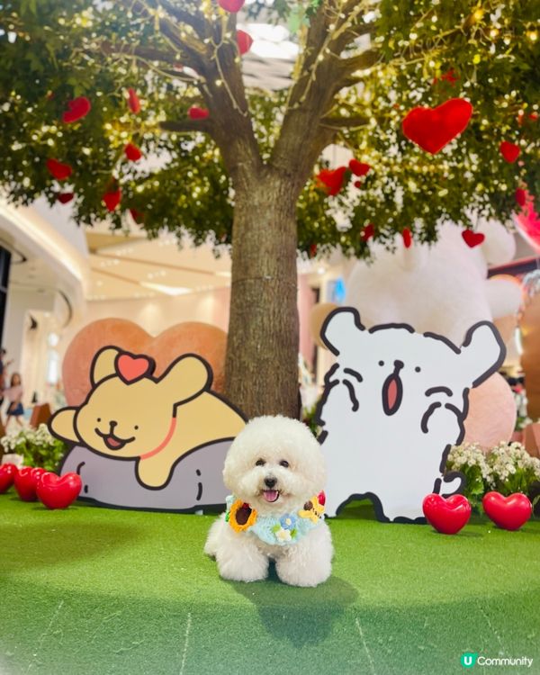 💛YOHO「線條小狗夏日心友會」！