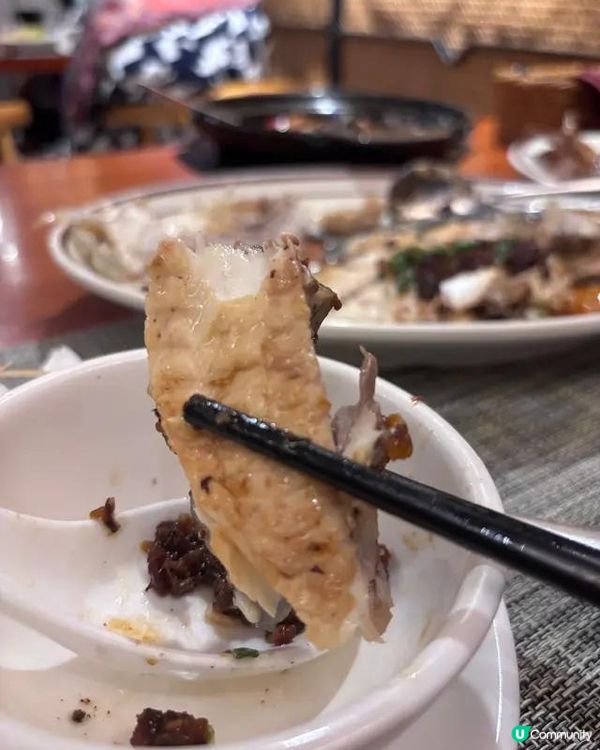 銀杏時光環境好舒服 仲要有live band 真係好有驚喜