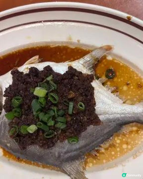 銀杏時光環境好舒服 仲要有live band 真係好有驚喜