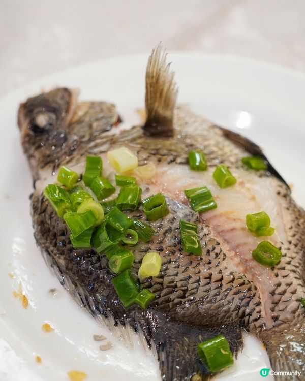 西貢美食｜再訪米芝蓮推介粵菜