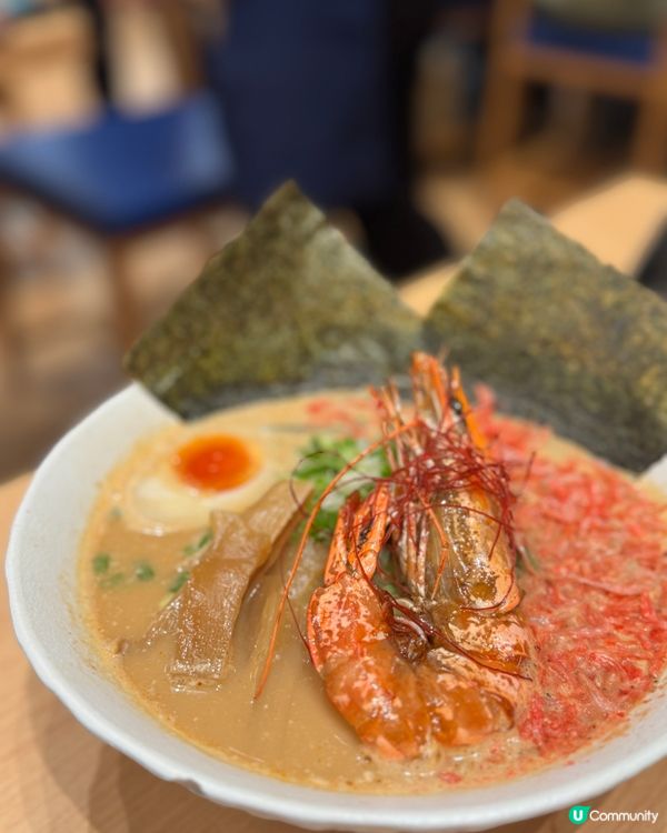 蒲燒鰻魚飯🤤 北海道拉麵🍜！日式美食之旅！