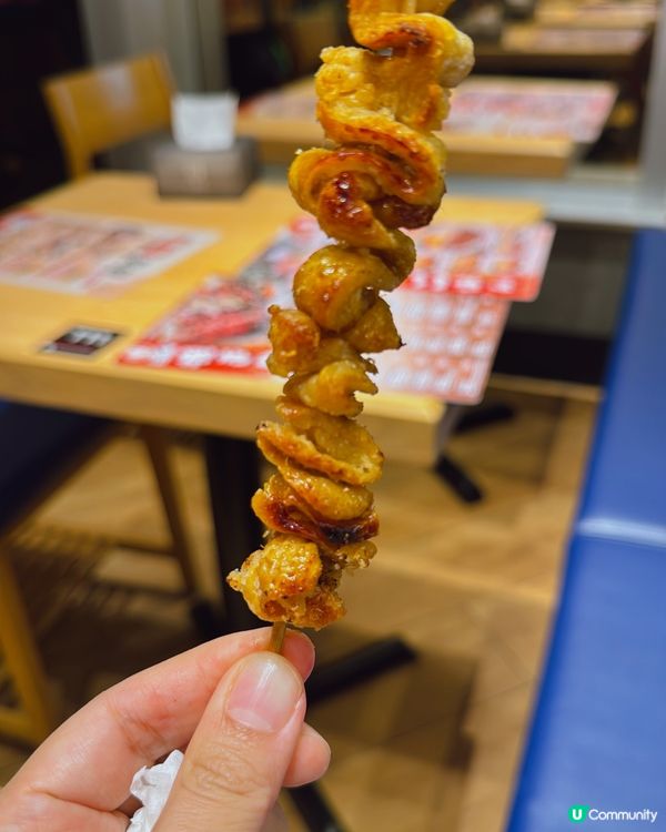 蒲燒鰻魚飯🤤 北海道拉麵🍜！日式美食之旅！