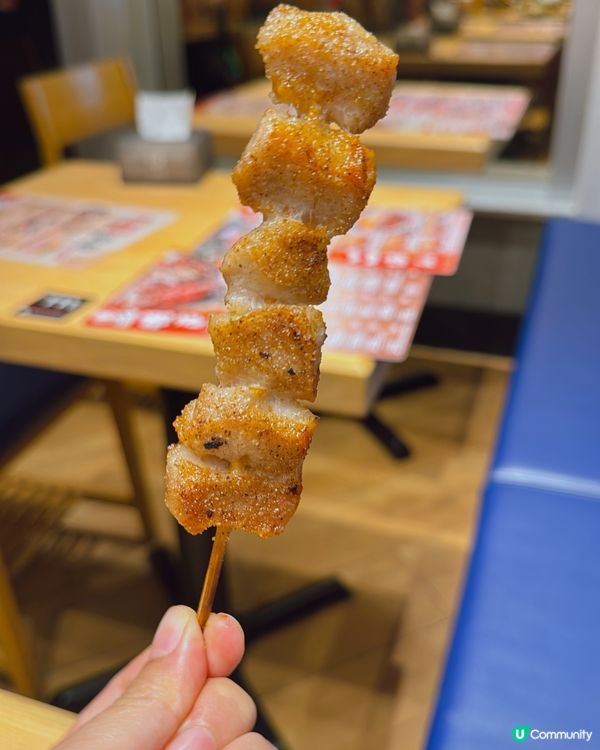 蒲燒鰻魚飯🤤 北海道拉麵🍜！日式美食之旅！