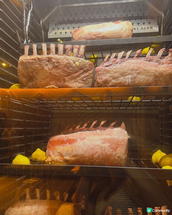 土瓜灣地中海之旅！🤤 約旦風情超正！