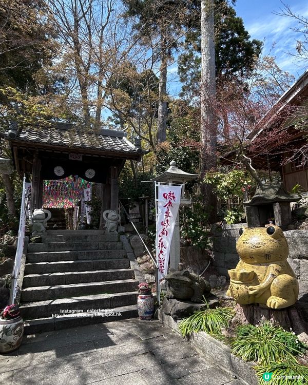 療癒景點 💕 有一萬隻吉祥「青蛙」和風鈴迴廊 💕 如意輪寺