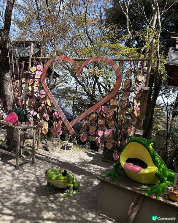 療癒景點 💕 有一萬隻吉祥「青蛙」和風鈴迴廊 💕 如意輪寺