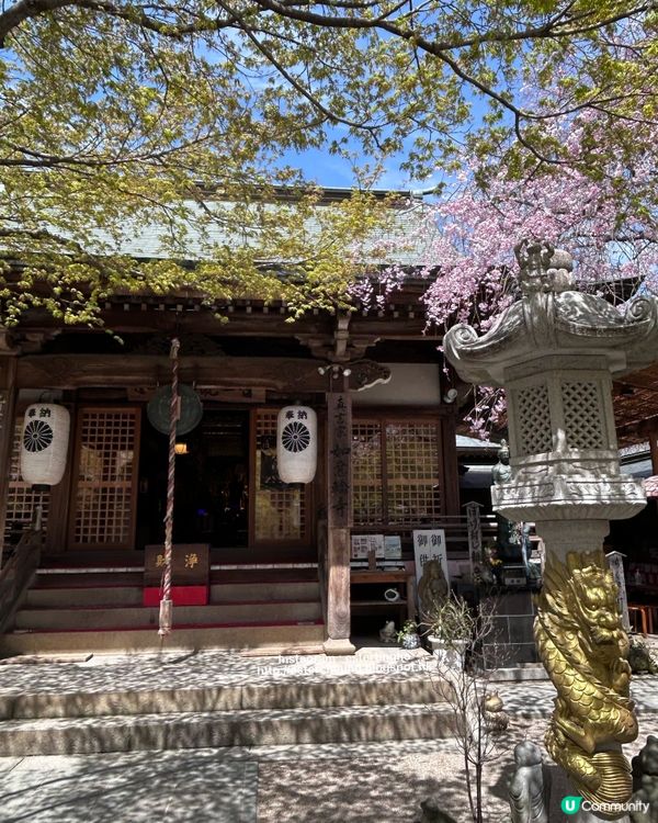 療癒景點 💕 有一萬隻吉祥「青蛙」和風鈴迴廊 💕 如意輪寺