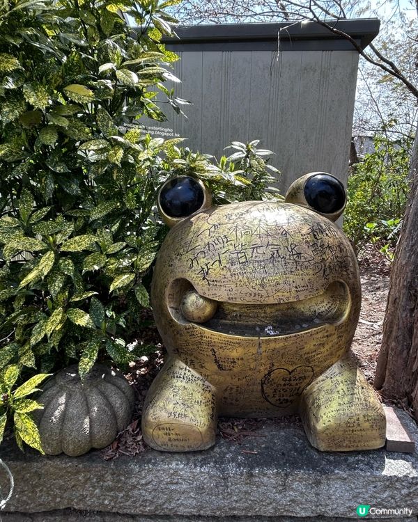療癒景點 💕 有一萬隻吉祥「青蛙」和風鈴迴廊 💕 如意輪寺