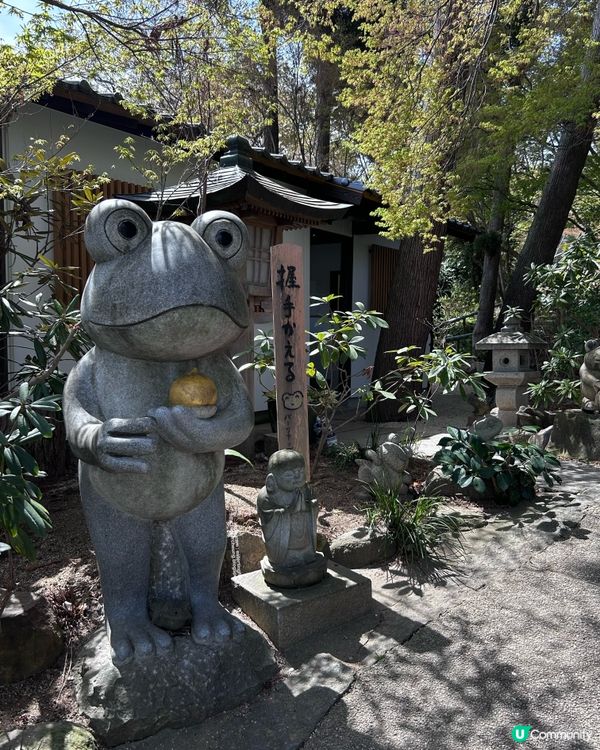 療癒景點 💕 有一萬隻吉祥「青蛙」和風鈴迴廊 💕 如意輪寺