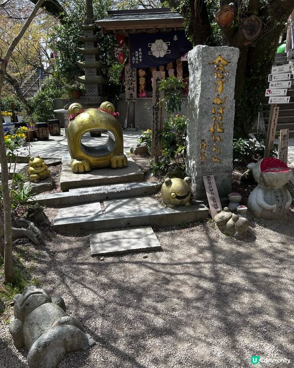 療癒景點 💕 有一萬隻吉祥「青蛙」和風鈴迴廊 💕 如意輪寺