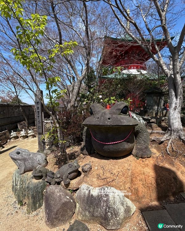 療癒景點 💕 有一萬隻吉祥「青蛙」和風鈴迴廊 💕 如意輪寺