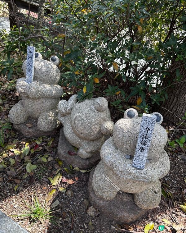 療癒景點 💕 有一萬隻吉祥「青蛙」和風鈴迴廊 💕 如意輪寺