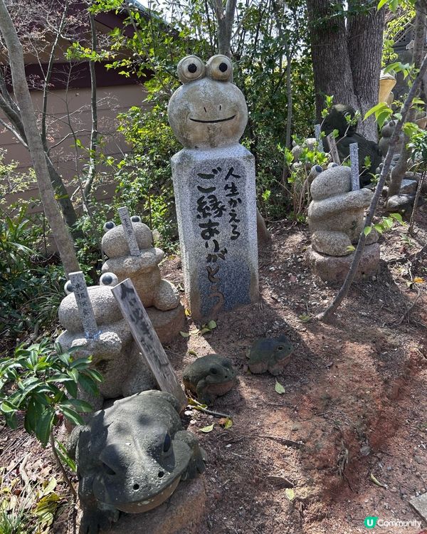 療癒景點 💕 有一萬隻吉祥「青蛙」和風鈴迴廊 💕 如意輪寺