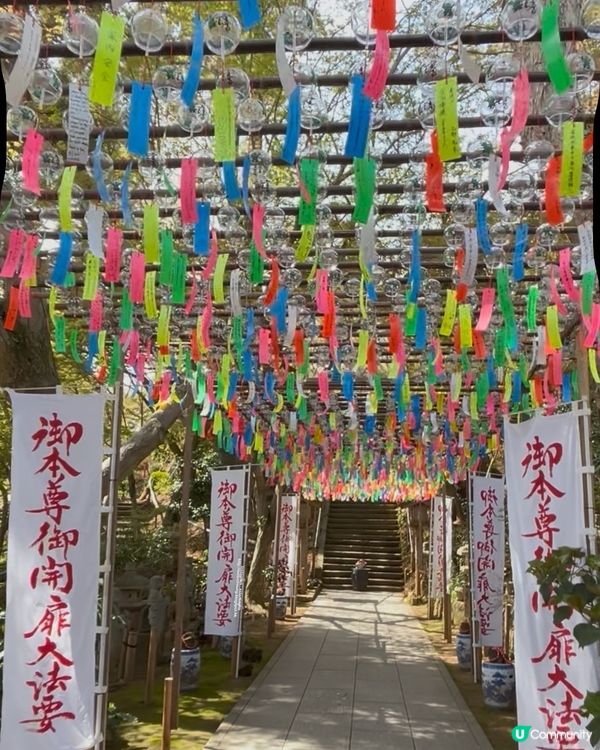 療癒景點 💕 有一萬隻吉祥「青蛙」和風鈴迴廊 💕 如意輪寺