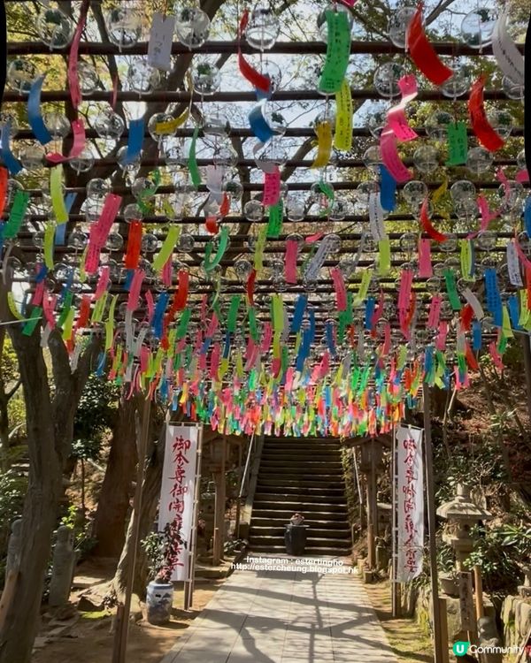 療癒景點 💕 有一萬隻吉祥「青蛙」和風鈴迴廊 💕 如意輪寺
