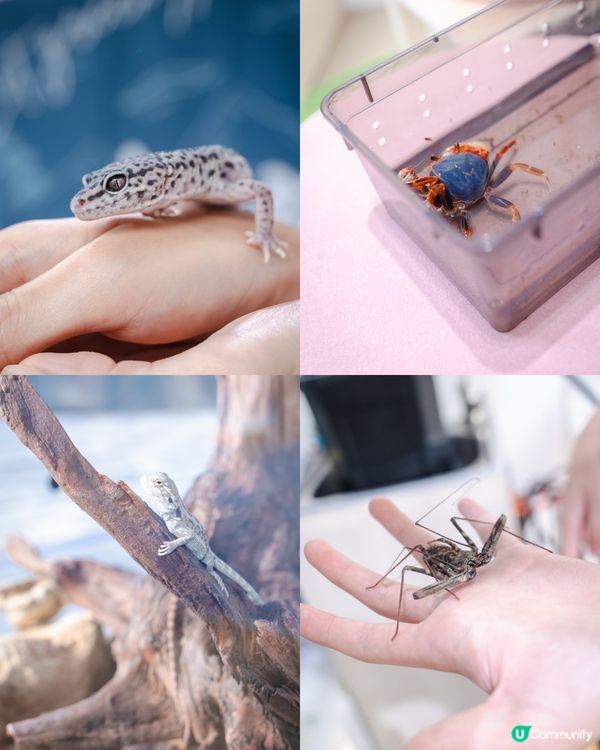 西沙𝙂𝙊 𝙁𝙐𝙉夏水禮🫟｜水花大戰🔫