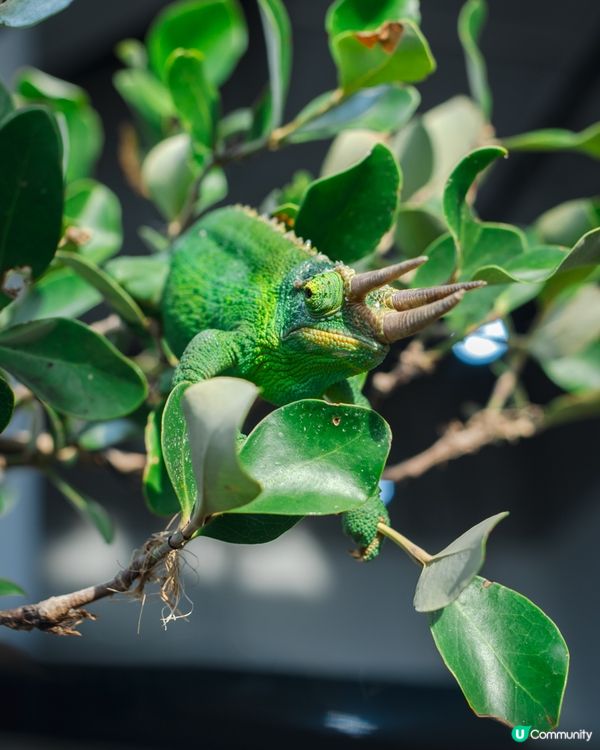 西沙𝙂𝙊 𝙁𝙐𝙉夏水禮🫟｜水花大戰🔫